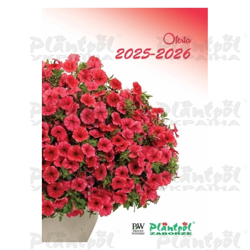 Каталог Plantpol Zaborze саджанці однорічних рослин 2025-2026