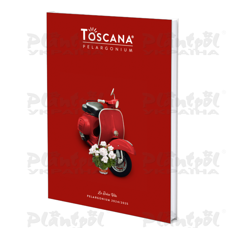 Каталог Toscana саджанці пеларгонії 2024-2025